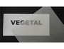 Diamant Papel Vegetal para Dibujo, Rollo 1.10 x 20 m, 90-95 gr, Ideal para Lápiz, Tinta y Rotulador, Referencia de Aplicación