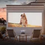 Hisense M2 Pro Trichroma Mini Laser UHD 4K Gris