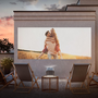 Hisense M2 Pro - Proyector Inteligente Cine en Casa 4K UHD (3840x2160) 3D HDR10+ Smart con VIDAA U, Zoom 1.3x, WiFi, Ethernet, Bluetooth, Altavoces 20W, Color Gris