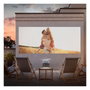 Hisense M2 Pro UHD 4K 3D Gris