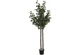 DKD Home Decor Árbol Eucalipto Verde en Poliéster y Madera (90x90x180 cm)