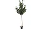 DKD Home Decor Árbol Eucalipto Verde en Poliéster y Madera (90x90x180 cm)
