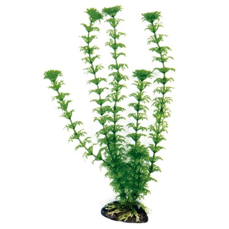 Nayeco Planta de Plástico para Acuario Cabomba 35 cm Nayeco Planta de Plástico para Acuario Cabomba 35 cm
