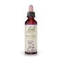 Bach Original Impatiens (Impaciencia) Nº18 20 ml