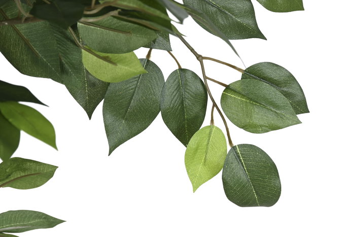 DKD Home Decor Planta Ficus Verde de Poliéster y PP (56x56x150 cm)