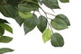 DKD Home Decor Planta Ficus Verde de Poliéster y PP (56x56x150 cm)