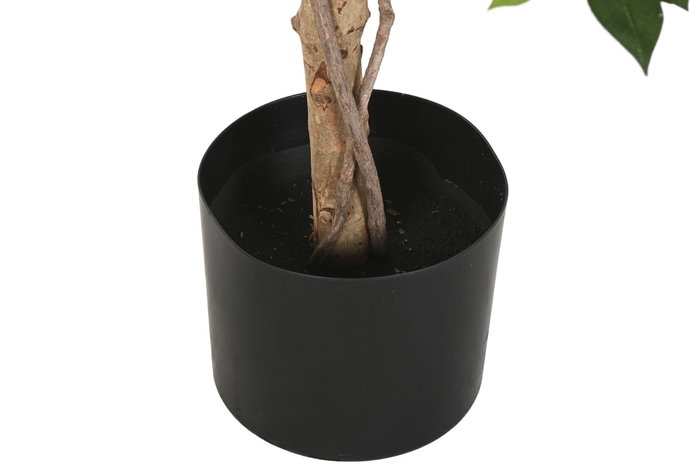 DKD Home Decor Planta Ficus Verde de Poliéster y PP (56x56x150 cm)