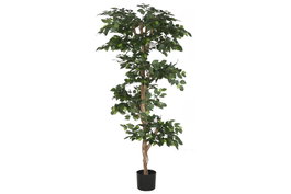 DKD Home Decor Planta Ficus Verde de Poliéster y PP (56x56x150 cm)