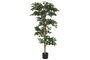 DKD Home Decor Planta Ficus Verde de Poliéster y PP (56x56x150 cm)