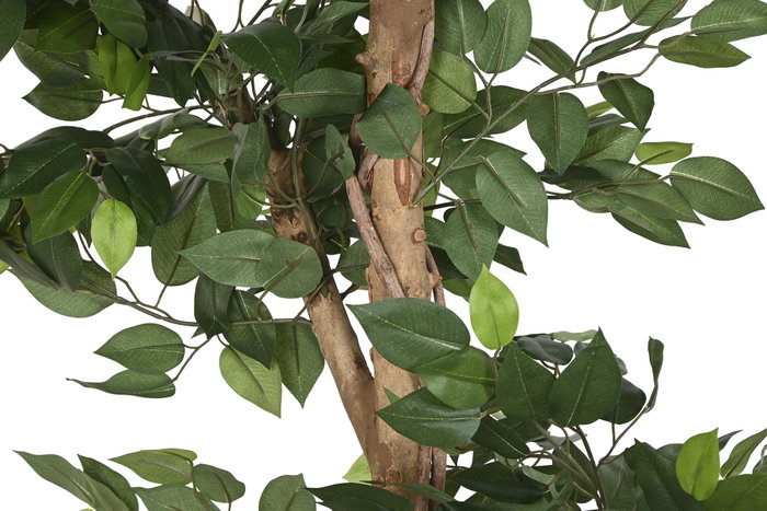 DKD Home Decor Planta Ficus Verde de Poliéster y PP (56x56x150 cm)