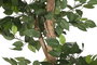 DKD Home Decor Planta Ficus Verde de Poliéster y PP (56x56x150 cm)