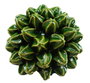 DKD Home Decor Decoración Gres Carambola Verde 22x22x18 cm