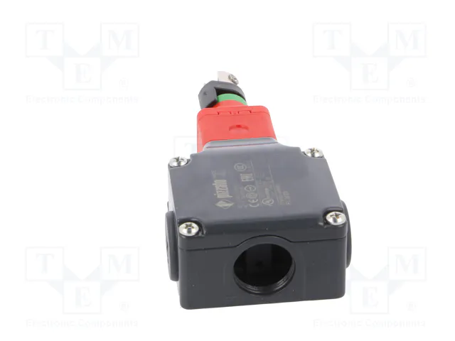 PIZZATO ELETTRICA FL 2079 Interruptor de seguridad de cuerda unilateral