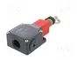 PIZZATO ELETTRICA FL 2079 Interruptor de seguridad de cuerda unilateral