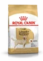 Royal Canin Labrador Retriever Adult 12kg