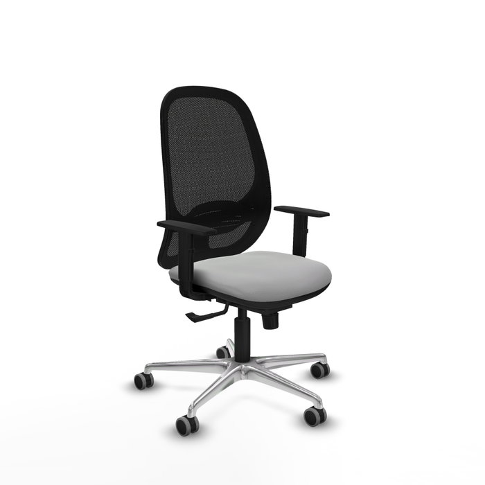 PIQUERAS Y CRESPO Silla de oficina Cilanco Gris claro y Negro PIQUERAS Y CRESPO Silla de oficina Cilanco Gris claro y Negro