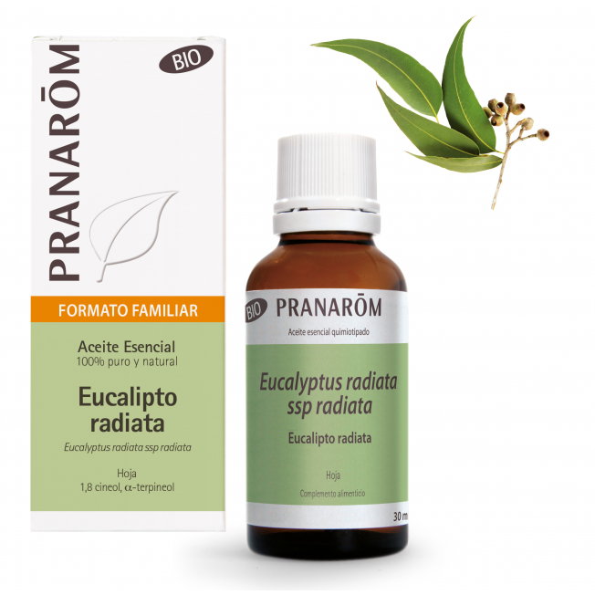 PRANAROM Aceite esencial BIO de Eucalyptus radiata 30 ml PRANAROM Aceite esencial BIO de Eucalyptus radiata 30 ml
