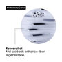 L'Oréal Professionnel Serie Expert Vitamino Color Resveratrol 300 ml