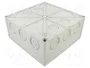 SPELSBERG ABOX-350-L Caja de Conexiones Gris