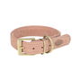 Collar para Perro Trixie Pure Rosa M 36-43 cm