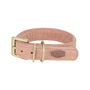 Collar para Perro Trixie Pure Rosa M 36-43 cm