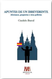 MEDULIA APUNTES DE UN IRREVERENTE, CANDIDO BARRAL ALVARELLOS - MEDULIA