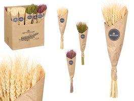 Giftdecor Ramillete Trigo Natural Surtidos Col 10 cm x 50 cm x 10 cm (Set de 30)