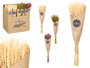 Giftdecor Ramillete Trigo Natural Surtidos Col 10 cm x 50 cm x 10 cm (Set de 30)