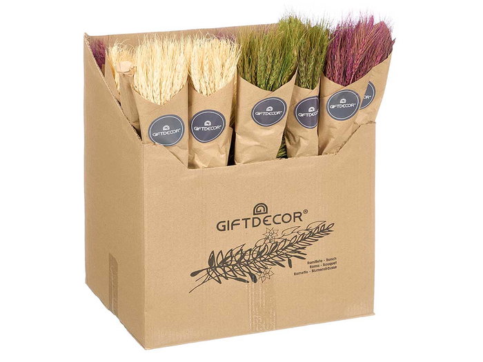 Giftdecor Ramillete Trigo Natural Surtidos Col 10 cm x 50 cm x 10 cm (Set de 30)