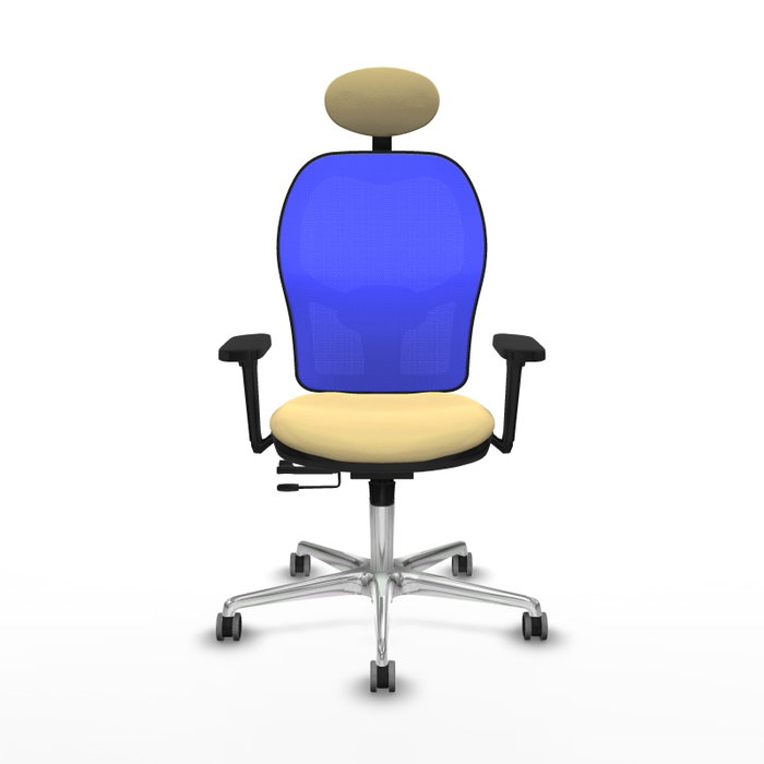 PIQUERAS Y CRESPO Silla de oficina Jorquera con mecanismo Sincro/Traslack, Crema y Azul PIQUERAS Y CRESPO Silla de oficina Jorquera con mecanismo Sincro/Traslack, Crema y Azul