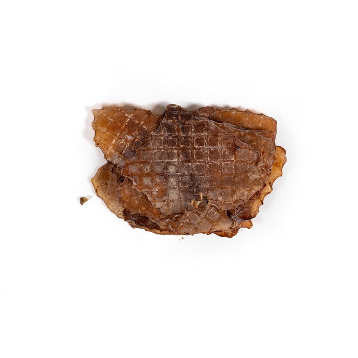 Comida húmeda Snackys Pescado 600 g