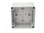 SPELSBERG TK PC 1111-7-O Carcasa Universal de Policarbonato Gris