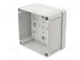 SPELSBERG TK PC 1111-7-O Carcasa Universal de Policarbonato Gris
