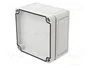 SPELSBERG TK PC 1111-7-O Carcasa Universal de Policarbonato Gris