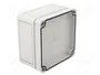 SPELSBERG TK PC 1111-7-O Carcasa Universal de Policarbonato Gris