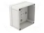 SPELSBERG TK PC 1111-7-O Carcasa Universal de Policarbonato Gris