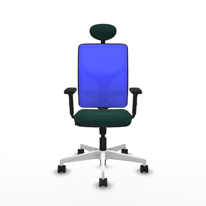 PIQUERAS Y CRESPO Silla de oficina Motilla con mecanismo Sincro, Verde botella y Azul PIQUERAS Y CRESPO Silla de oficina Motilla con mecanismo Sincro, Verde botella y Azul