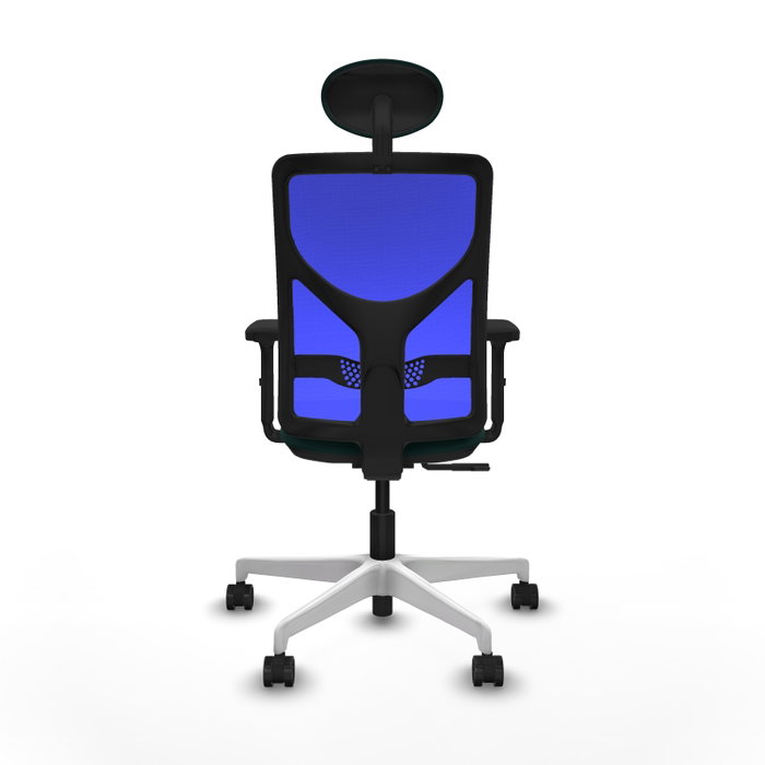 PIQUERAS Y CRESPO Silla de oficina Motilla con mecanismo Sincro, Verde botella y Azul PIQUERAS Y CRESPO Silla de oficina Motilla con mecanismo Sincro, Verde botella y Azul