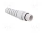 BM GROUP Sello aislante M20 con manguito gris