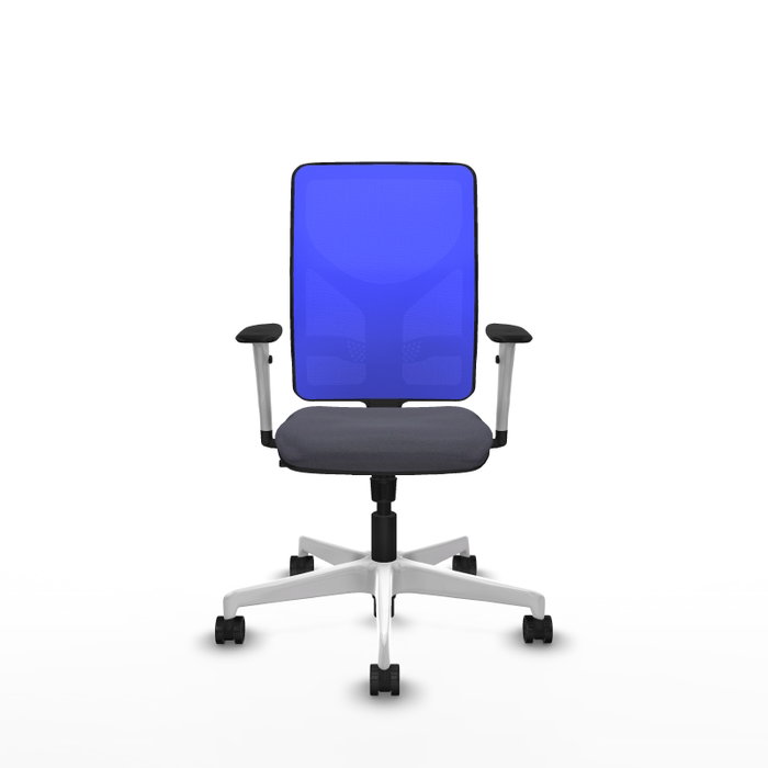 PIQUERAS Y CRESPO Silla de oficina Motilla con mecanismo Sincro Gris/Azul PIQUERAS Y CRESPO Silla de oficina Motilla con mecanismo Sincro Gris/Azul