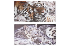 DKD Home Decor Cuadro Lienzo MDF Tigres Set de 2