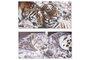 DKD Home Decor Cuadro Lienzo MDF Tigres Set de 2
