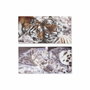 DKD Home Decor Cuadro Lienzo MDF Tigres Set de 2