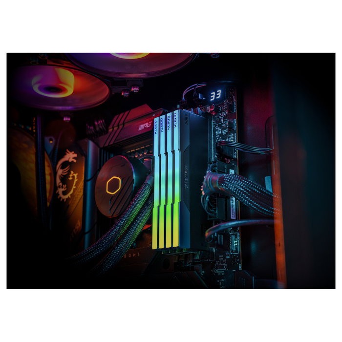 KLEVV CRAS V 32GB (16GBx2) 6400 CL30 Black EXPO KLEVV CRAS V 32GB (16GBx2) 6400 CL30 Black EXPO