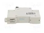 Promfactor Baltic Interruptor magnetotérmico ECO 25A 1 Polo Característica B