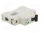 Promfactor Baltic Interruptor magnetotérmico ECO 25A 1 Polo Característica B
