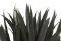 DKD Home Decor Planta Verde Blanco 60 x 60 x 62 cm (2 Unidades)