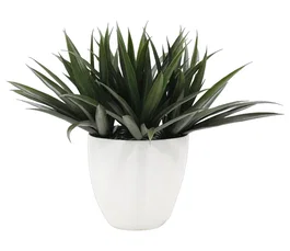 DKD Home Decor Planta Verde Blanco 60 x 60 x 62 cm (2 Unidades)