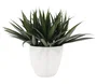 DKD Home Decor Planta Verde Blanco 60 x 60 x 62 cm (2 Unidades)