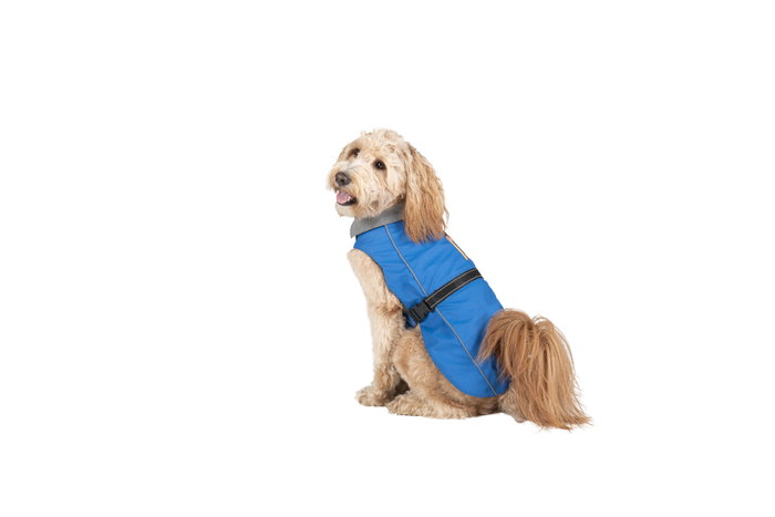 Chubasquero para Perro Dog Gone Smart Azul 35 cm